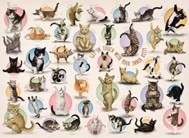 Legpuzzels 100 - 500 stukjes